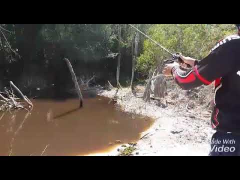 Mancing gabus di danau