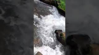 Part2 Dedari Nyusuin Anak