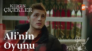 Bahane Bulmak Zorundayız... - Kırgın Çiçekler 104. Bölüm