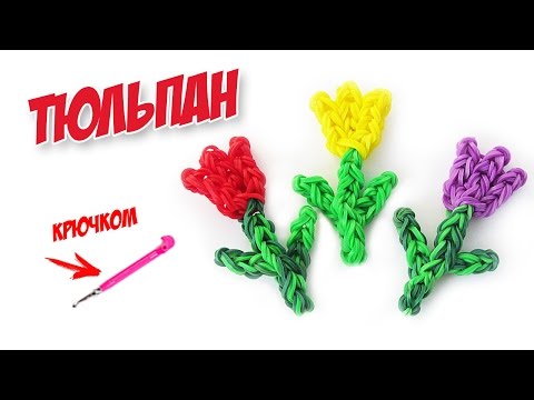 Ягоды чёрные вяжущие Ягоды чёрные вяжущие
