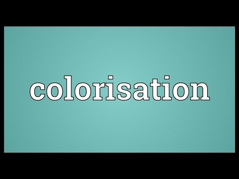 Header of Colorisation
