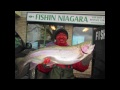 Niagara 2012 fishing