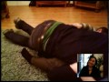 footstompin1