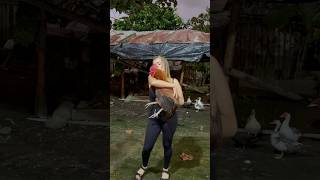 Cuando No Hay Con Quien Bailar