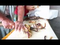 Japanese preparing Tuna & Lobster