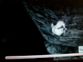 Shadow of the Colossus - Quadratus Lake Death Camera Ledge