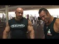 lateral raises