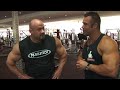 lateral raises