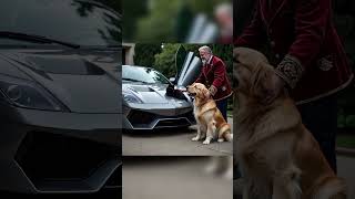 King Dog Video Cat Love A Dog Dog Video Short Lover