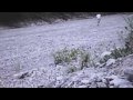 Mille + Mille Video preview