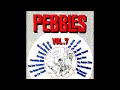 Pebbles Vol.7 - 12 - The Soul Survivors - Shakin' With Linda