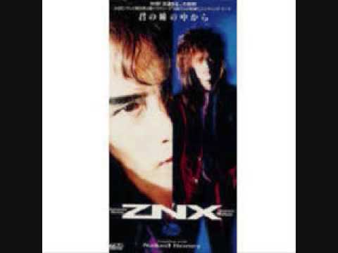 ZNX- 君の瞳の中から