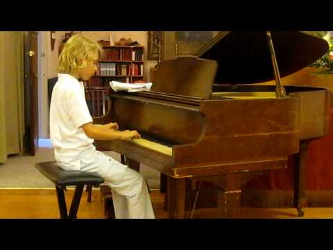 Ludwig Van Beethoven,Love Story (cover Sebastian Zeman) 8 years old