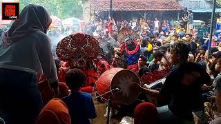 Putro Pujonggo - Terbaru Rampak Singo Barong Tawuran Penonton Ricuh Live Kedung Dowo Rejoso