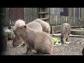 feeding time