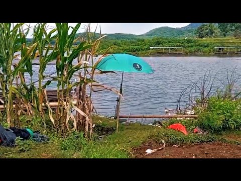 MANCING SEBENTAR HASILNYA MENGGELEGAR ‼️ MANCING CIRATA TERBARU MANCING SEBENTAR HASILNYA MENGGELEGAR ‼️ MANCING CIRATA TERBARU
