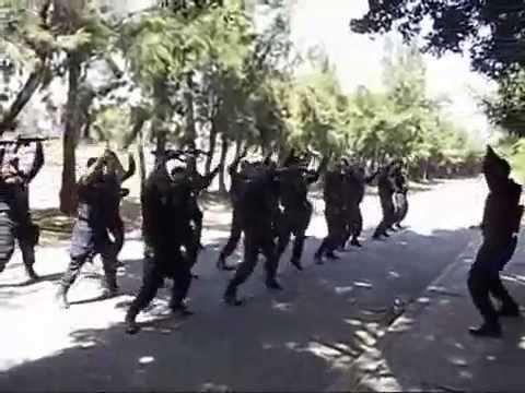 Curso policia federal