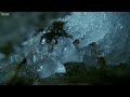 view In Frozen Exile (The Sea Of Ice)