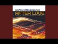 After Love (I-B-I-Z-A Mix)