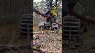 “Powerfull Performance: John Deere 1270G Harvester Handling Pine Trees