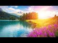 Music for Sleeping 247 Soothing Music Relaxation Music Insomnia Sleep Meditation Relax Study