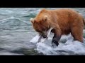 Alaska - Uncharted Waters - Canon 5D Mark III