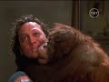 Men Vs Monkey Men Vs Monkey