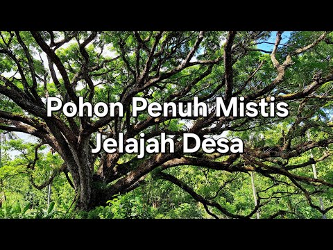Jalan-Jalan di Pedesaan Gunungkidul || Jelajah Desa @Emak_Petualang