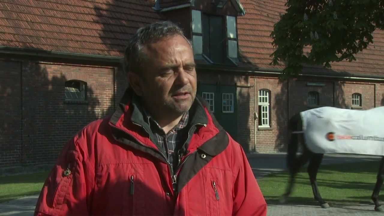 pferdewetten pferdewetten
