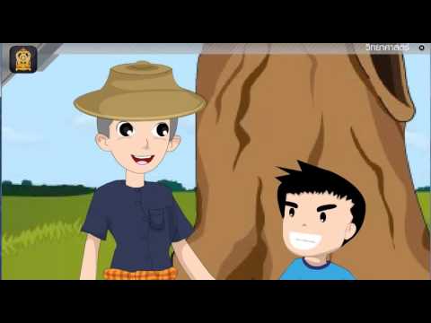 หน้าที่และส่วนประกอบของลำต้น วิทยาศาสตร์ ป.4