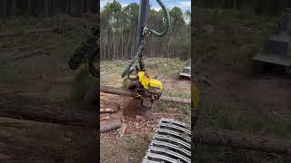 John Deere 1270G Harvester Operator #Johndeere #Harvester #Viral #Farming #Tree #Excavator #Wood