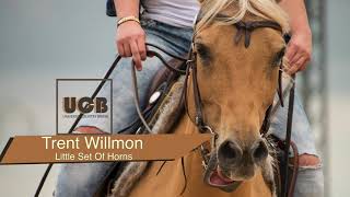 Watch Trent Willmon Little Set Of Horns video