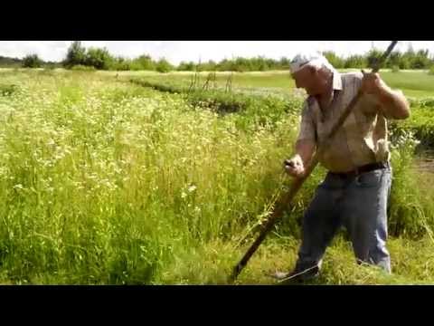 Как сделать косу которой косят траву Как сделать косу которой косят траву