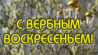 28 Апреля ✔С Вербным Воскресеньем 🙏🙏🙏 Пусть Будет Мир И Радость На Земле 🎶Музыкальная Открытка