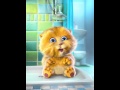 Mañanitas (gatito)
