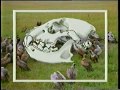 Predadores Selvagens Hiena Parte 1 images Predadores Selvagens Hiena Parte 1