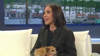 Hydrant Club CEO Cathy Brooks shares tips on getting your pup ready for travel