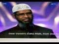 Islamic Urdu Sawal o Jawab