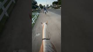 Holding Our Reins Way Too Tightly And Using Spurs Someone Call The Cops