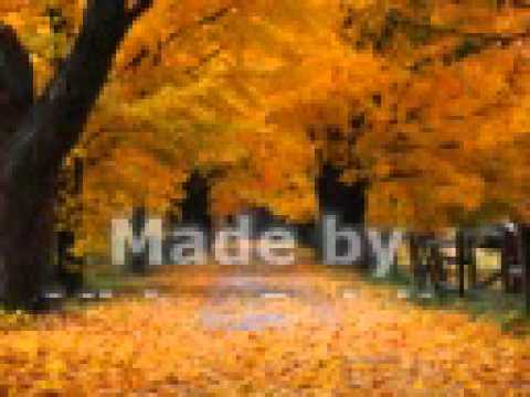 Tujh me rab dikhta hain by Vaibhav Ghalme.avi