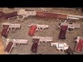 firearm