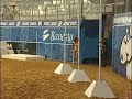 Craig Johnson Bridleless Reining Demo