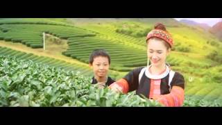 Gatchen - Vietnam tour and holiday packages
