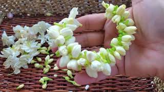 Veni Jasmine How To Make Flower Buds Veni In 5 Minutes Poo Jadai