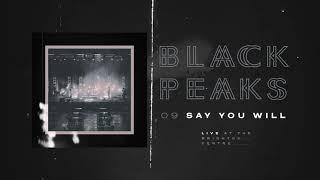 Watch Black Peaks Say You Will video