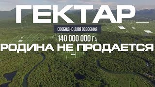 Депутат Правду О Дальневосточном Гектаре - Обращение Народа К Президенту Путину 2024