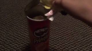 Spongebob Loves Pringles