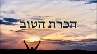 הכרת הטוב - מוטי אילוביץ - "רעיונות" | מתורגם