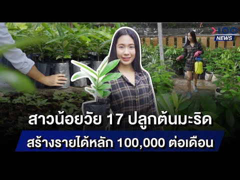 สาวน้อยวัย 17 ปลูกต้นมะริด สร้างรายได้หลัก 100,000 ต่อเดือน | 100NEWS