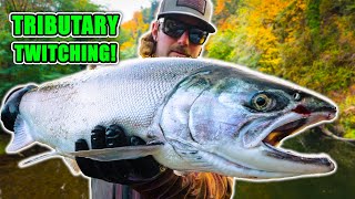 Tributary Coho Twitching, Spinners, Eggs & More